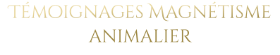 Témoignages Magnétisme animalier
