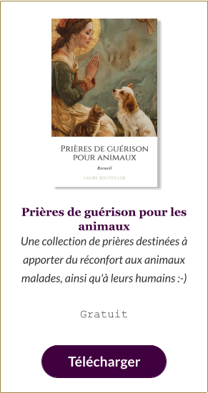 Prières de guérison pour les animaux Une collection de prières destinées à apporter du réconfort aux animaux malades, ainsi qu'à leurs humains :-)  Gratuit   Télécharger