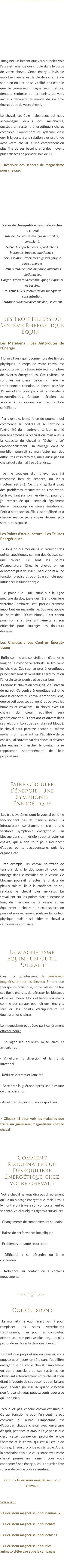 Imaginez un instant que vous puissiez voir l’aura et l'énergie qui circule dans le corps de votre cheval. Cette énergie, invisible mais bien réelle, est la clé de sa santé, de son bien-être et de sa vitalité, et c'est elle que le guérisseur magnétiseur nettoie, dénoue, renforce et harmonise. Je vous invite à découvrir le monde du système énergétique de votre cheval.  Le cheval, cet être majestueux qui nous accompagne depuis des millénaires, possède un système énergétique riche et complexe. Comprendre ce système, c'est ouvrir la porte à une relation plus profonde avec votre cheval, à une compréhension plus fine de ses besoins et à des moyens plus efficaces de prendre soin de lui.  > Réserver des séances de magnétisme pour chevaux          Signes de Déséquilibre des Chakras chez le cheval Racine : Nervosité, manque de stabilité, agressivité. Sacré : Comportements reproducteurs inadaptés, troubles émotionnels. Plexus solaire : Problèmes digestifs, fatigue, perte d’énergie. Cœur : Détachement, méfiance, difficultés relationnelles. Gorge : Difficultés à communiquer, à exprimer les besoins. Troisième Œil : Désorientation, manque de concentration. Couronne : Manque de connexion, isolement.   Les Trois Piliers du Système Énergétique Équin :  Les Méridiens : Les Autoroutes de l'Énergie   Hormis l’aura qui rayonne hors des limites physiques, le corps de votre cheval est parcouru par un réseau intérieur complexe de rivières énergétiques. Ces rivières, ce sont les méridiens. Selon la médecine traditionnelle chinoise, le cheval possède 12 méridiens principaux et 2 méridiens extraordinaires. Chaque méridien est associé à un organe ou une fonction spécifique.   Par exemple, le méridien du poumon, qui commence au poitrail et se termine à l'extrémité du membre antérieur, est lié non seulement à la respiration, mais aussi à la capacité du cheval à "lâcher prise" émotionnellement. Un blocage dans ce méridien pourrait se manifester par des difficultés respiratoires, mais aussi par un cheval qui a du mal à se détendre…   Je me souviens d'un cheval que j'ai rencontré lors de séances, un vieux trotteur retraité. Ce grand gaillard avait des problèmes récurrents de respiration. En travaillant sur son méridien du poumon, j'ai remarquée qu'il semblait également libérer beaucoup de stress émotionnel. Petit à petit, son souffle s'est amélioré, et à chaque séance, je le voyais devenir plus serein, plus apaisé.  Les Points d'Acupuncture : Les Écluses Énergétiques   Le long de ces méridiens se trouvent des points spécifiques, comme des écluses sur une rivière. Ce sont les points d'acupuncture. Chez le cheval, on en dénombre plus de 150 ! Chaque point a une fonction précise et peut être stimulé pour influencer le flux d'énergie.   Le point "Bai Hui", situé sur la ligne médiane du dos, juste derrière la dernière vertèbre lombaire, est particulièrement important en magnétisme. Souvent appelé le "point des 100 réunions", il est connu pour son effet tonifiant général et son efficacité pour soulager les douleurs dorsales.  Les Chakras : Les Centres Énergétiques   Enfin, comme une constellation d'étoiles le long de la colonne vertébrale, se trouvent les chakras. Ces sept centres énergétiques principaux sont de véritables carrefours où l'énergie se concentre et se distribue.   Prenons le chakra du cœur, situé au niveau du garrot. Ce centre énergétique est utile dans la capacité du cheval à créer des liens, que ce soit avec ses congénères ou avec les humains et cavaliers. Un cheval avec un chakra du cœur équilibré sera généralement plus confiant et ouvert dans ses relations. Lorsque ce chakra est bloqué, le cheval peut paraître distant ou même méfiant. En travaillant sur l'équilibre de ce chakra, j'ai souvent vu des chevaux devenir plus enclins à chercher le contact, à se rapprocher spontanément de leur propriétaire.     Faire circuler l’énergie : Une Symphonie Énergétique   Les trois systèmes dont je vous ai parlé ne fonctionnent pas de manière isolée. Ils interagissent constamment, créant une véritable symphonie énergétique. Un blocage dans un méridien peut affecter un chakra, qui à son tour peut influencer d'autres points d'acupuncture, puis les organes, etc...   Par exemple, un cheval souffrant de tensions dans le dos pourrait avoir un blocage dans le méridien de la vessie. Ce blocage pourrait affecter le chakra du plexus solaire, lié à la confiance en soi, rendant le cheval plus nerveux. En travaillant sur les points d'acupuncture le long du méridien de la vessie et en équilibrant le chakra du plexus solaire, on pourrait non seulement soulager la douleur physique, mais aussi aider le cheval à retrouver sa confiance.     Le Magnétisme Équin : Un Outil Puissant  C'est ici qu'intervient le guérisseur magnétiseur pour les chevaux. En tant que thérapeute holistique, notre rôle est de lire ces flux d'énergie, de détecter les blocages et de les libérer. Nous utilisons nos mains comme des canaux pour diriger l'énergie, stimuler les points d'acupuncture et équilibrer les chakras.  Le magnétisme peut être particulièrement efficace pour :  - Soulager les douleurs musculaires et articulaires  - Améliorer la digestion et le transit intestinal  - Réduire le stress et l'anxiété  - Accélérer la guérison après une blessure ou une opération  - Améliorer les performances sportives   > Cliquez ici pour voir les maladies que traite un guérisseur magnétiseur chez le cheval     Comment Reconnaître un Déséquilibre Énergétique chez votre cheval ?   Votre cheval ne vous dira pas directement qu'il a un blocage énergétique, mais il vous le montrera à travers son comportement et sa santé. Voici quelques signes à surveiller :  - Changements de comportement soudains  - Baisse de performance inexpliquée  - Problèmes de santé récurrents  - Difficulté à se détendre ou à se concentrer  - Réticence au contact ou à certains mouvements      Conclusion :   Le magnétisme équin n'est pas là pour remplacer les soins vétérinaires traditionnels, mais pour les compléter, offrant une perspective plus large et plus profonde sur la santé de votre cheval.   En tant que propriétaire ou cavalier, vous pouvez aussi jouer un rôle dans l'équilibre énergétique de votre cheval. Simplement en étant conscient de ces systèmes, en observant attentivement votre cheval et en étant à l'écoute de ses besoins et en faisant appel à votre guérisseuse quand le besoin s’en fait sentir, vous pouvez contribuer à ce qu’il soit bien.   N'oubliez pas, chaque cheval est unique. Ce qui fonctionne pour l'un peut ne pas convenir à l'autre. L'important est d'aborder chaque cheval avec ouverture d'esprit, patience et amour. Et je pense que c'est cette connexion profonde entre l'homme et le cheval qui est au cœur de toute guérison profonde et véritable. Alors, la prochaine fois que vous serez avec votre cheval, prenez un moment pour vous connecter à son énergie. Vous pourriez être surpris de ce que vous ressentirez.  Retour > Guérisseur magnétiseur pour chevaux   Voir aussi :  > Guérisseur magnétiseur pour animaux  > Guérisseur magnétiseur pour chats  > Guérisseur magnétiseur pour chiens  > Guérisseur magnétiseur pour les animaux d’élevage et de la campagne