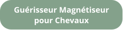 Guérisseur Magnétiseur pour Chevaux