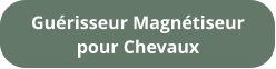 Guérisseur Magnétiseur pour Chevaux