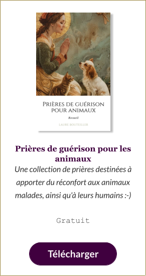 Prières de guérison pour les animaux Une collection de prières destinées à apporter du réconfort aux animaux malades, ainsi qu'à leurs humains :-)  Gratuit   Télécharger