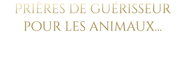 Prières de guérisseur pour les animaux…