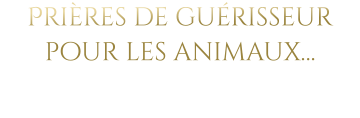 Prières de guérisseur pour les animaux…