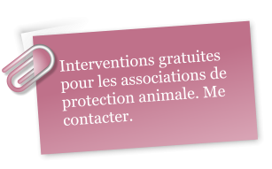 Interventions gratuites pour les associations de protection animale. Me contacter.